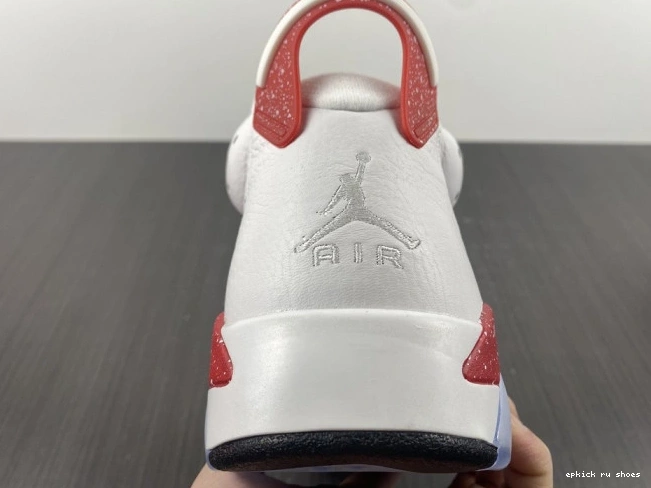 Rep 6 Retro CT8529-162 Jordan Hare 0723